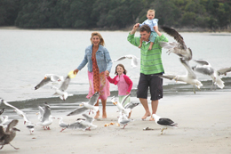 Beach holiday photos